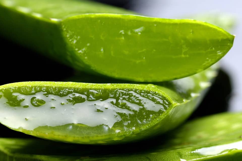 Cristal de aloe vera para las manchas de la cara