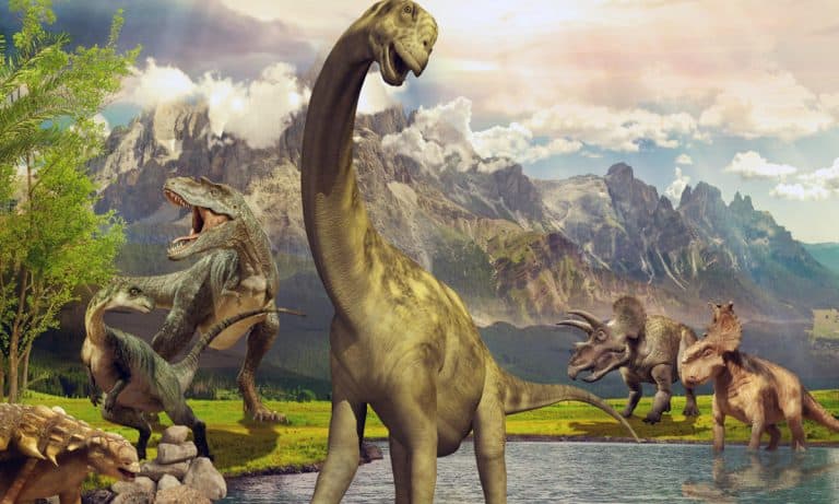 vivian los dinosaurios en manadas