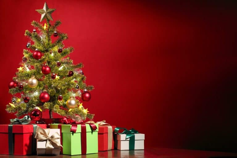 Regalos de Navidad para Empresas: Fomenta la lealtad y el compromiso de tus empleados con regalos personalizados