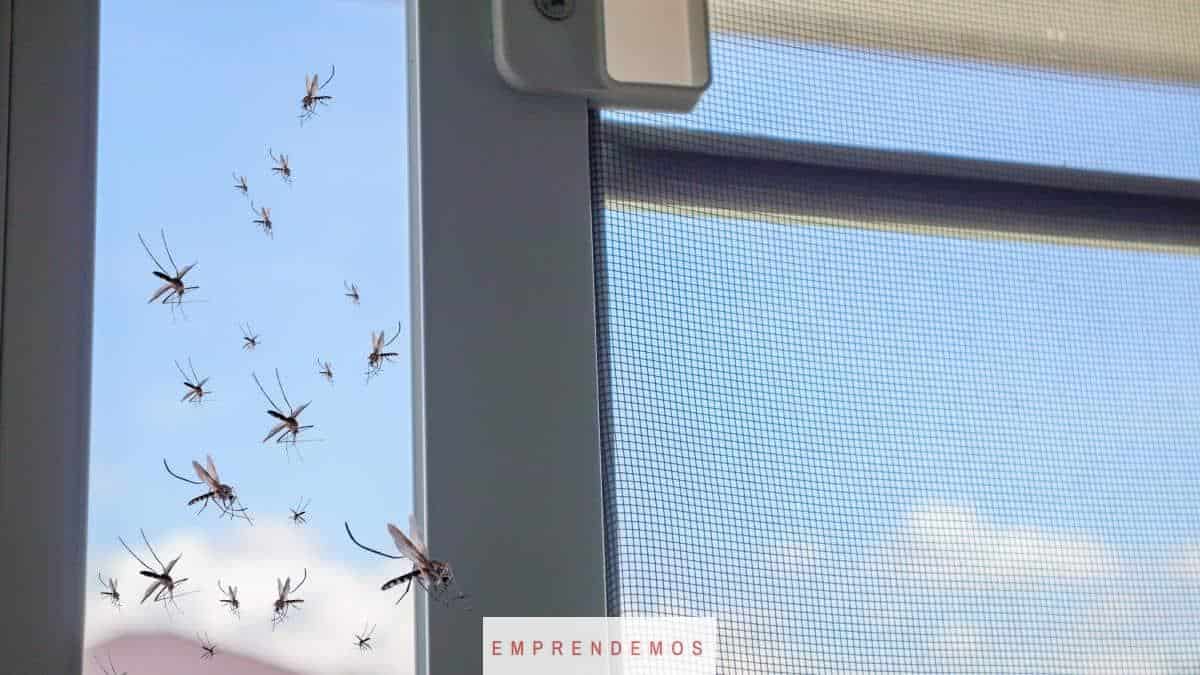 Mosquiteras-para-protegerse-de-insectos