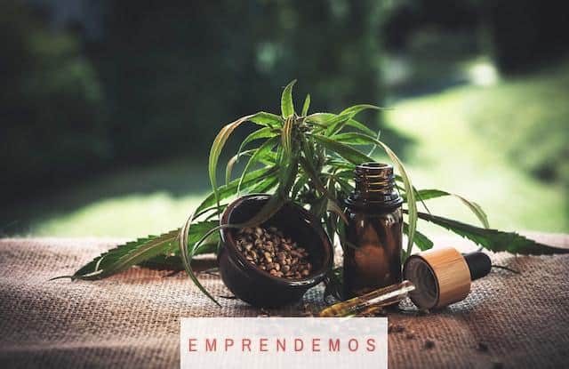 mayorista de CBD en España