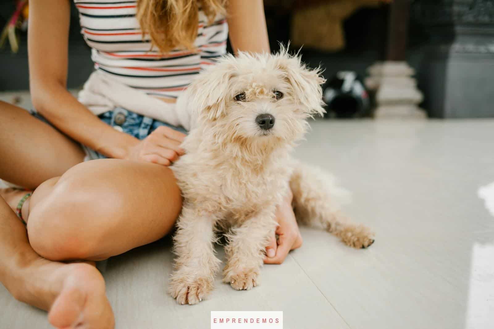 perro con mujer