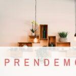 Ideas de decoración para apartamentos de alquiler